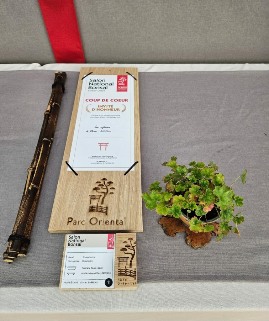 Prix coup de coeur invité Salon national du bonsai 2025