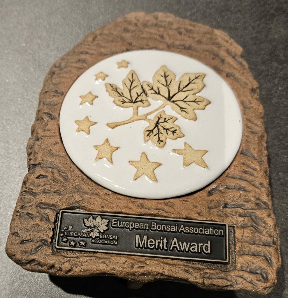 Merit Award - European Bonsai Association